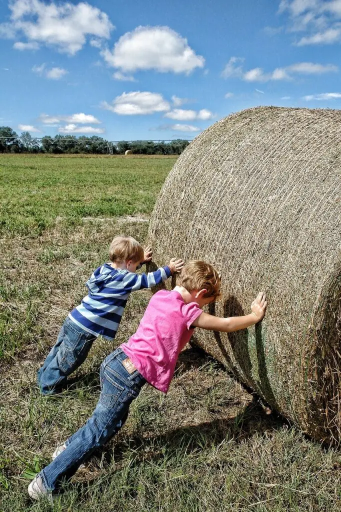 teamwork, farm workers, co-operation, farm, hay, worker, agriculture, field, nature, rural, team, working, people, outdoors, farmer, summer, country, harvest, natural, farming, child, countryside, kid, boy, lifestyle, fresh, landscape, meadow, sunny, hard work, outdoor, scene, scenery, pasture, hard work, hard work, hard work, hard work, hard work